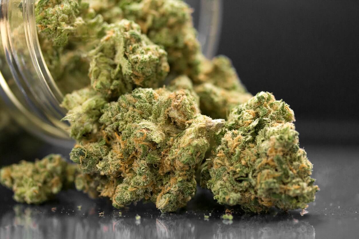 Getrocknete Hanfblüten quellen aus einem umgekippten Glas auf dunklem Untergrund als Symbolbild zum Thema Cannabis ohne Rezept