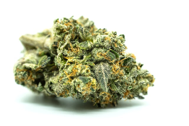 Einzelne getrocknete Cannabisblüte mit Harzkristallen und orangen Blütenhaaren vor weißem Hintergrund zum Verarbeiten