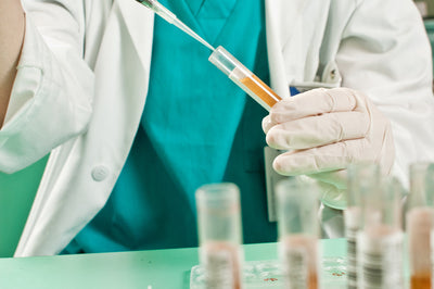 Ist CBD nachweisbar? Alles, was du wissen musst