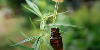 CBD Öl: Wieviel Prozent bei Angst und Panikattacken ist sinnvoll?