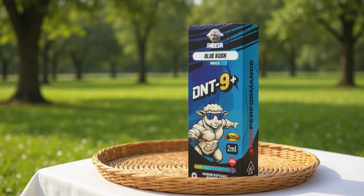 H2 Superior Legalität: Sheesh DNT-9 Vape Blue Kush auf Rattantablett im Garten
