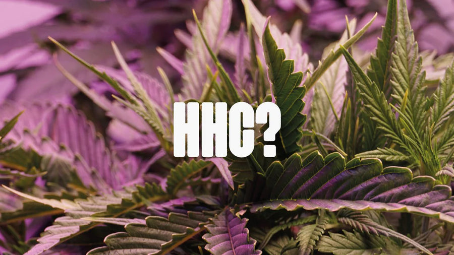 HHC Vapes