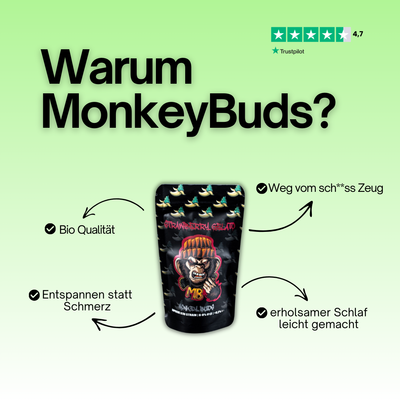 MonkeyBuds CBD Probierpaket