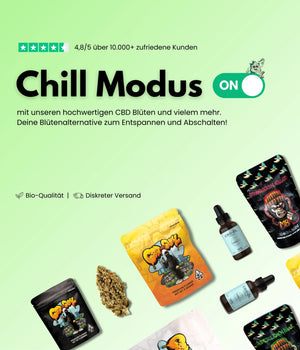 Unsere besten CBD Produkte sauber dargestellt.