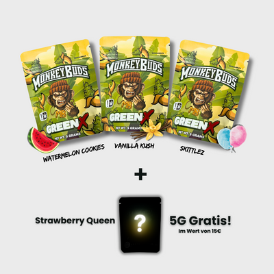 Monkeybuds Green X Probierpaket CBD Blüten