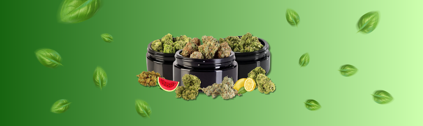 OnlyGrams Erfahrungen Mein Test zu CBD-Blten, 50 % CBD-Vape & Superior Vape G&C GbR OnlyGrams Erfahrungen Mein Test zu CBD-Blten, 50 % CBD-Vape & Superior Vape G&C GbR