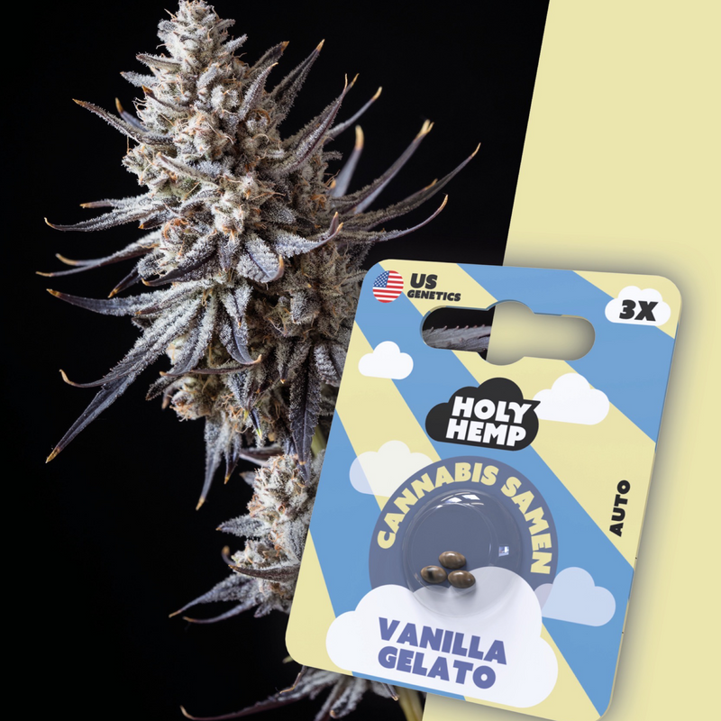 Auto-Flowering Vanilla Gelato Seeds