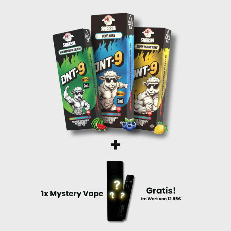 SHEESH DNT-9 Vape - Probierpaket (3x2ml) G&C GbR SHEESH DNT-9 Vape - Probierpaket (3x2ml) G&C GbR