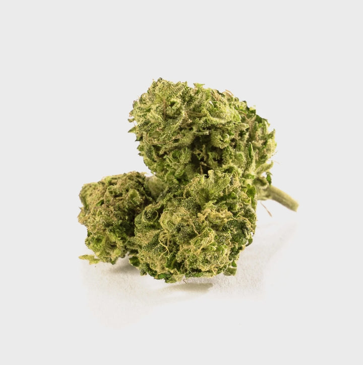 Drei helle Super Lemon Haze CBD-Blüten nebeneinander, freigestellt