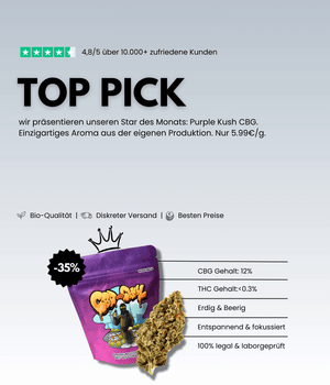 Top Pick CBDandChill